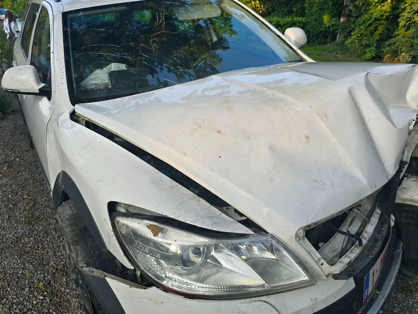 Skoda Octavia 4w4 automatique prix export 0495887361 Wit - 1