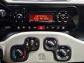 Fiat Panda 0.9 t.air turbo Trekking 4X4 84cv Vert - thumbnail 13