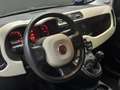 Fiat Panda 0.9 t.air turbo Trekking 4X4 84cv Verde - thumbnail 5