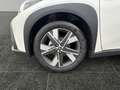 Toyota Aygo X AYGO X 1,5 l Active CVT Weiß - thumbnail 15