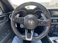 Alfa Romeo Stelvio Stelvio 2.2 t Veloce Q4 210cv auto Grau - thumbnail 17