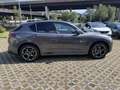Alfa Romeo Stelvio Stelvio 2.2 t Veloce Q4 210cv auto Grau - thumbnail 4