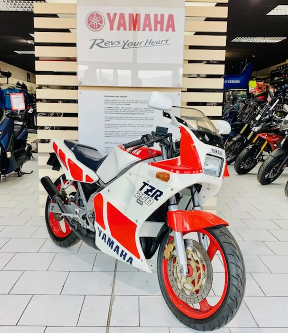 Yamaha TZR 250 Wit - 2