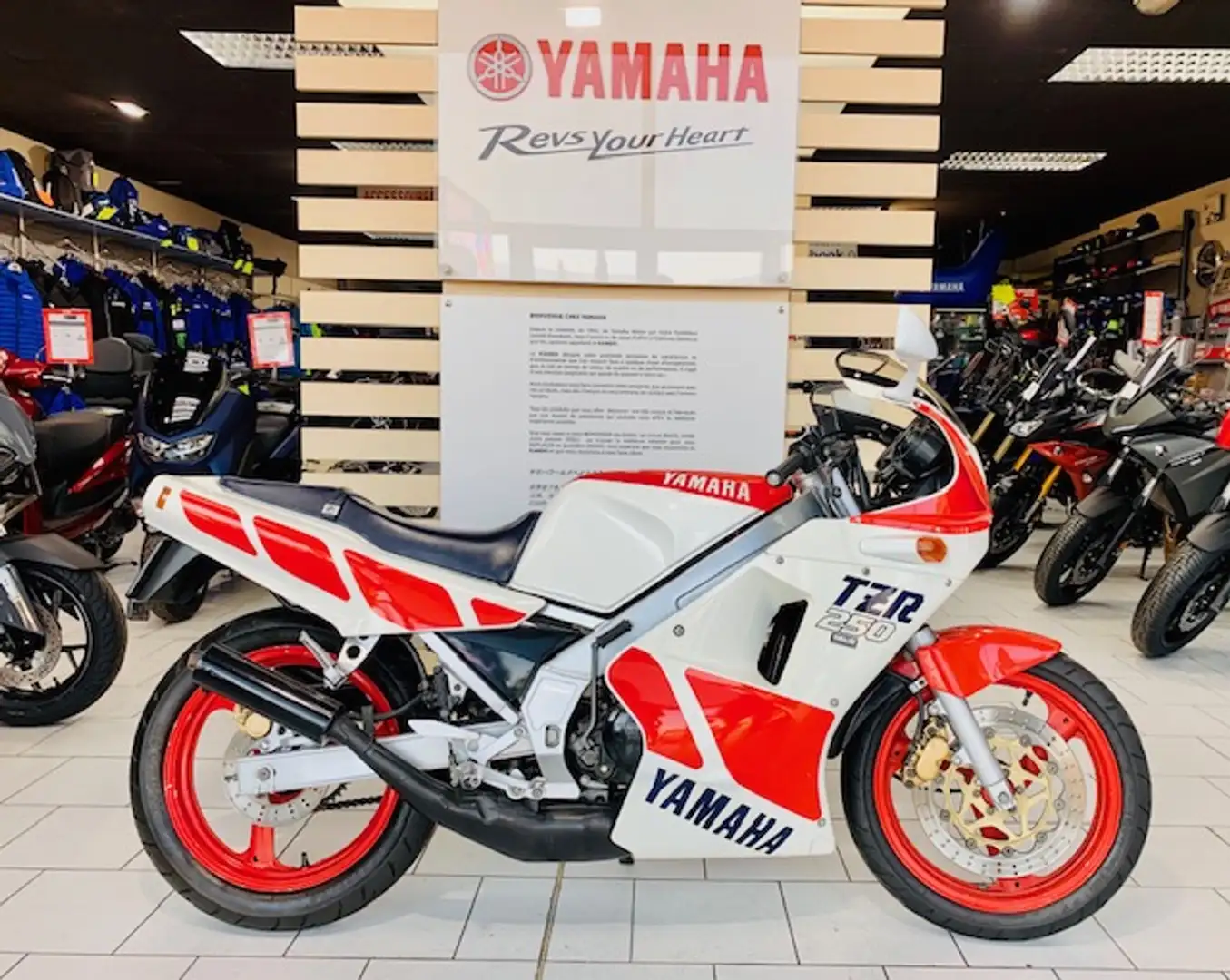 Yamaha TZR 250 Wit - 1