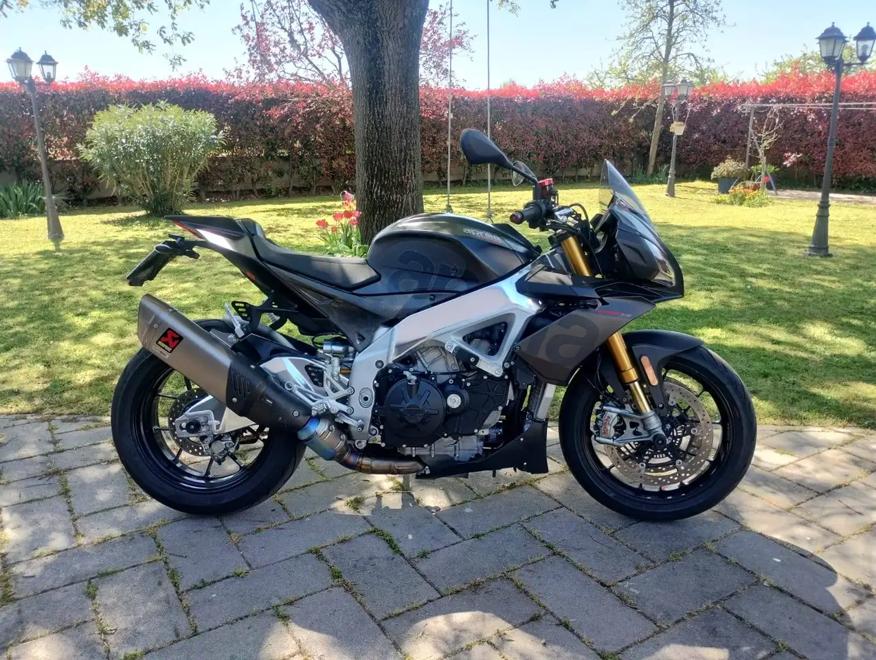 Aprilia Tuono