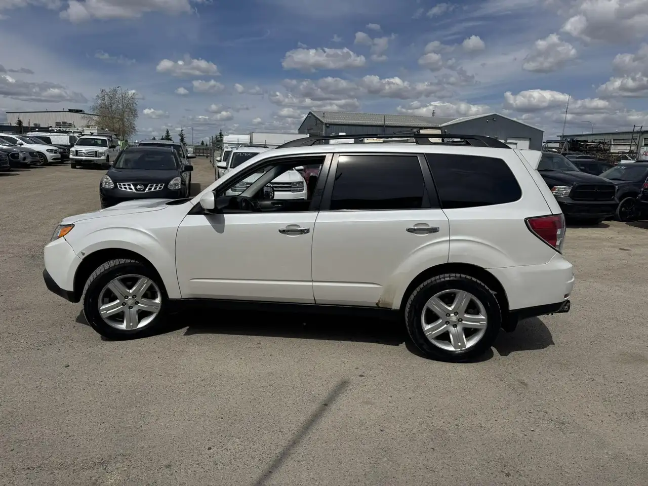 Subaru Forester fotografie Subaru Forester