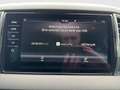Skoda Karoq 4x4 Ambition Limited TDI Blau - thumbnail 14