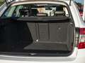 Skoda Octavia Combi 1.4 TSI Greentech Style Business | Pano | 18 Wit - thumbnail 33