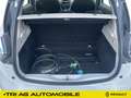 Renault ZOE Zoe Intens Z.E 40 zzgl. Batteriemiete GRA PDC SH White - thumbnail 12