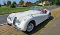 Jaguar XK120 Білий - thumbnail 1