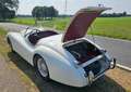 Jaguar XK120 Білий - thumbnail 5