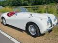 Jaguar XK120 Білий - thumbnail 2