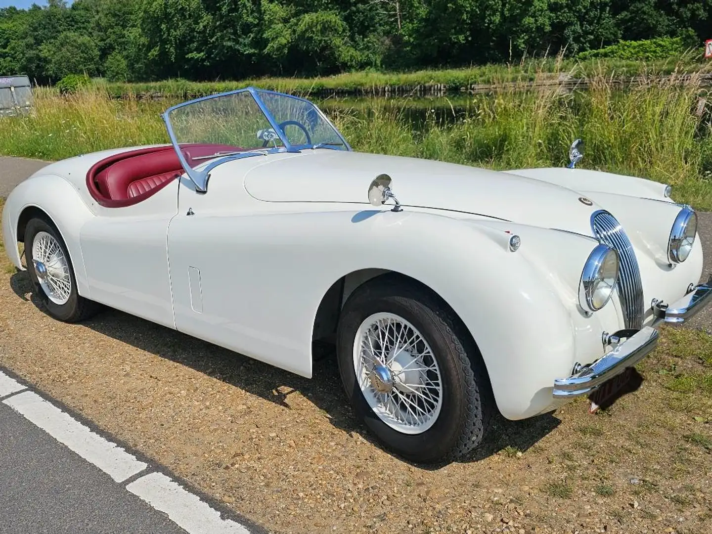 Jaguar XK120 Білий - 2