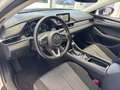 Mazda 6 Kombi Exclusive-Line 2.5i BOSE+HEAD-UP+MATRIX+360° Weiß - thumbnail 6