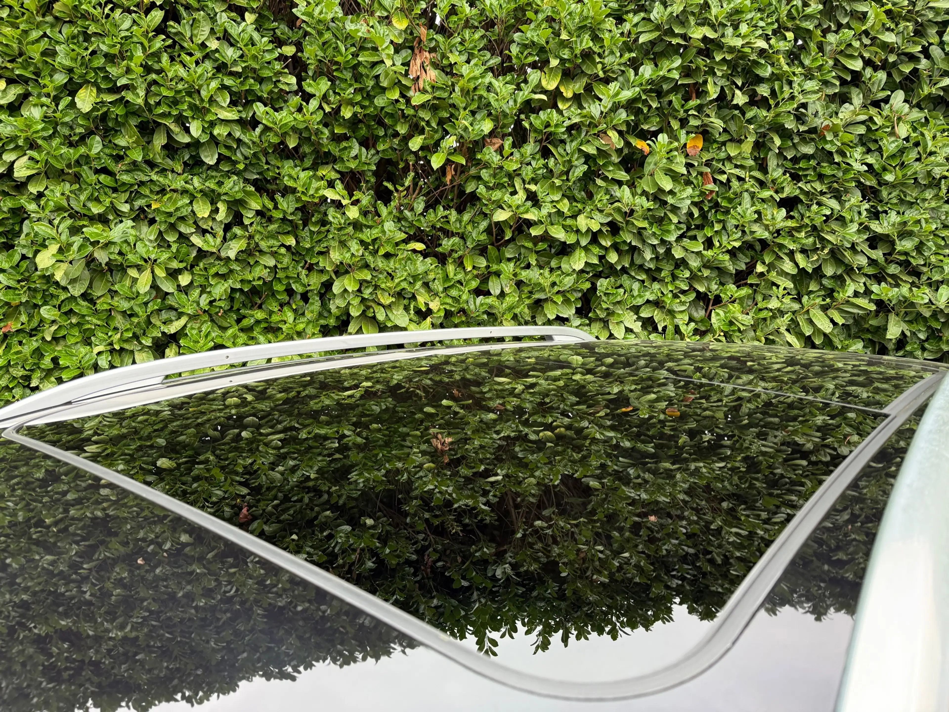 Porsche Cayenne 3.0 S E-Hybrid |PANO|BOSE|TREKHAAK|ADAPTIVE CRUISE — photo 5