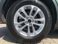 Ford Kuga Titanium 1.5 EcoBoost EU6e HUD Navi Digitales Cock Verde - thumbnail 9