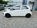 Kia Picanto Edition 7 1.0 KLIMA 5-TÜRIG Weiß - thumbnail 3