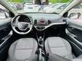 Kia Picanto Edition 7 1.0 KLIMA 5-TÜRIG Weiß - thumbnail 11