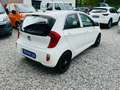 Kia Picanto Edition 7 1.0 KLIMA 5-TÜRIG Weiß - thumbnail 6