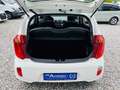 Kia Picanto Edition 7 1.0 KLIMA 5-TÜRIG Weiß - thumbnail 16