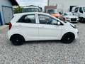 Kia Picanto Edition 7 1.0 KLIMA 5-TÜRIG Weiß - thumbnail 7