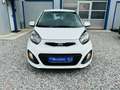 Kia Picanto Edition 7 1.0 KLIMA 5-TÜRIG Weiß - thumbnail 9