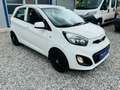 Kia Picanto Edition 7 1.0 KLIMA 5-TÜRIG Weiß - thumbnail 8