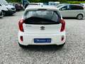 Kia Picanto Edition 7 1.0 KLIMA 5-TÜRIG Weiß - thumbnail 5