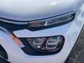 Citroen C3 C3 1.5 bluehdi Suine NEOPATENTATI Blanc - thumbnail 16