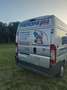 Peugeot Boxer 3.0 motore Daily Iveco - thumbnail 4