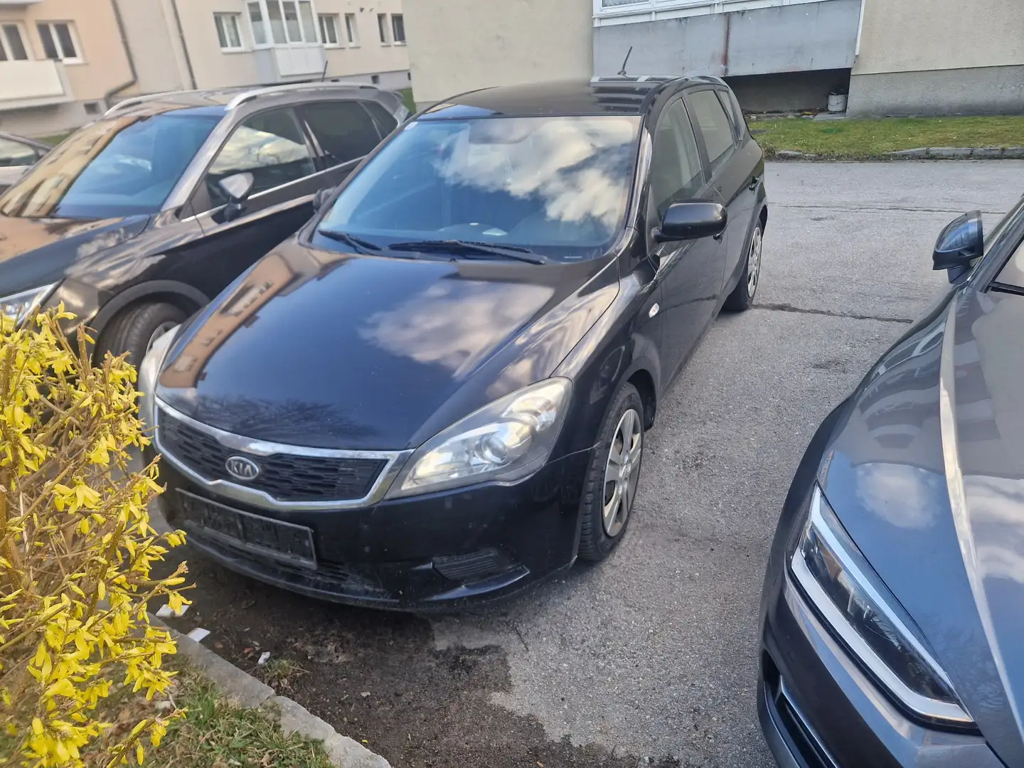 Kia Ceed / cee'd 1,6 CRDi Cool ECO DPF ISG - 1
