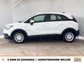 Opel Crossland X 1.5 ecotec advance s&s 120cv auto Blanc - thumbnail 3