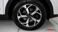 Kia Sportage 1,6 CRDI SCR MHD AWD Silber Weiß - thumbnail 14