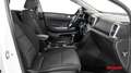 Kia Sportage 1,6 CRDI SCR MHD AWD Silber Weiß - thumbnail 13