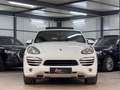 Porsche Cayenne Diesel SPORT PAKET*PASM*PANO*PCM*BOSE Weiß - thumbnail 2