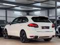 Porsche Cayenne Diesel SPORT PAKET*PASM*PANO*PCM*BOSE Weiß - thumbnail 20