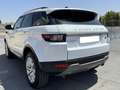 Land Rover Range Rover Evoque 2.0TD4 Pure 4WD Aut. 150 Blanco - thumbnail 7
