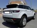 Land Rover Range Rover Evoque 2.0TD4 Pure 4WD Aut. 150 Blanco - thumbnail 17