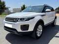 Land Rover Range Rover Evoque 2.0TD4 Pure 4WD Aut. 150 Blanco - thumbnail 2