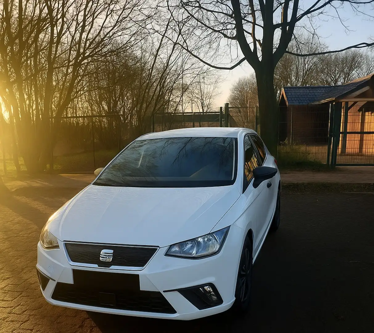 SEAT Ibiza 1.0 EcoTSI S&S Reference Weiß - 1