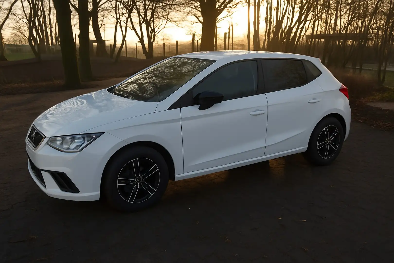 SEAT Ibiza 1.0 EcoTSI S&S Reference Weiß - 2