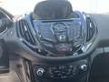 Ford B-Max 1.0 l EcoBoost Titanium NAVI EASY-DRIVER/WINTER-PA Zwart - thumbnail 16