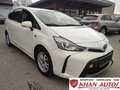 Toyota Sonstige Prius+ 1,8VVt-i Hybride Premium Weiß - thumbnail 1