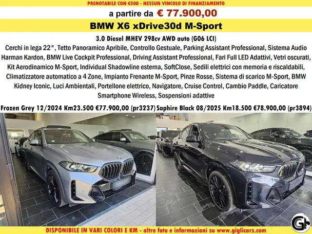 BMW X6