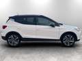 SEAT Arona 1.0 tgi FR 90cv Bianco - thumbnail 10