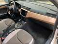 SEAT Ibiza 1.0 EcoTSI 85kW (115CV) DSG Xcellence Pl Blanc - thumbnail 9