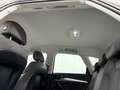 Audi Q5 Q5 40 2.0 tdi Business Sport quattro 190cv s-tron Grau - thumbnail 16