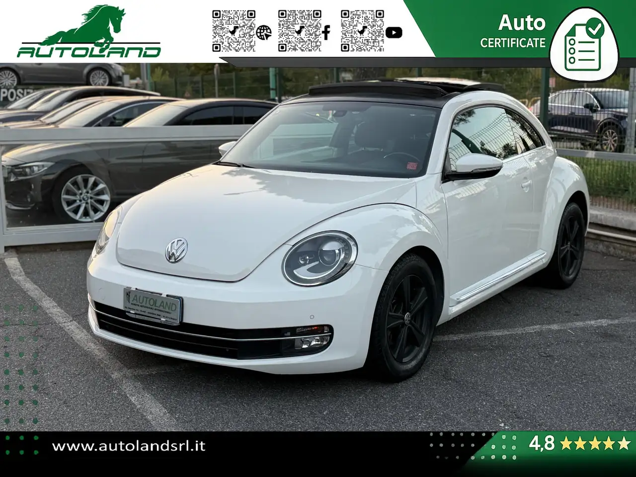 Volkswagen Maggiolino