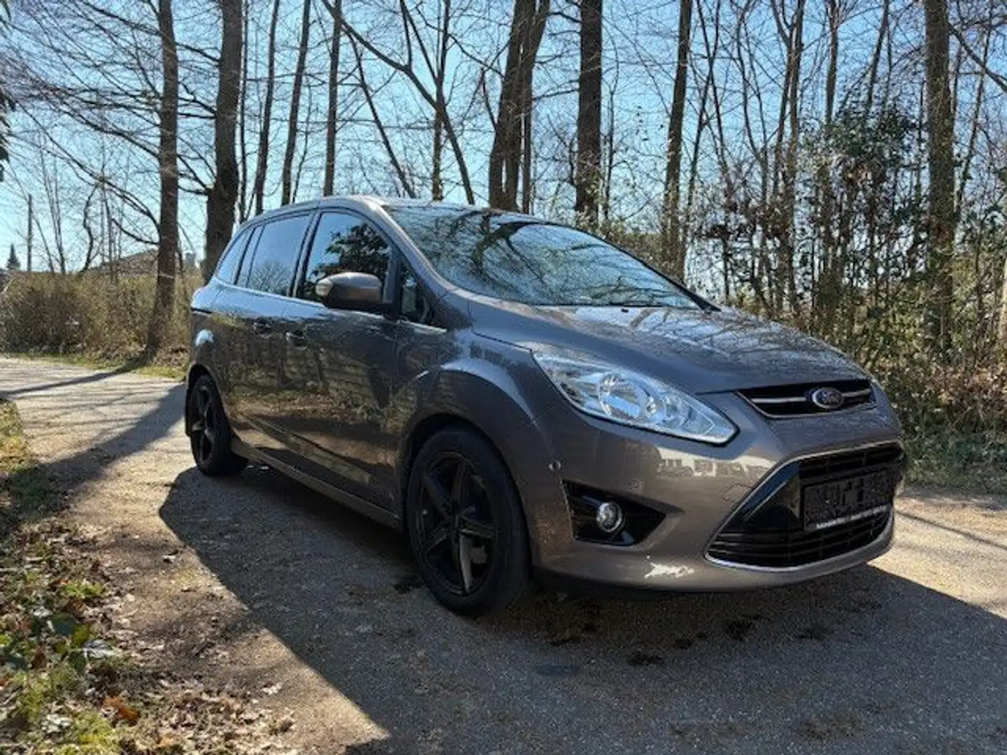 Ford Grand C-Max 1,0 Ltr. - 92 kW Titanium, TOP Brun - 2