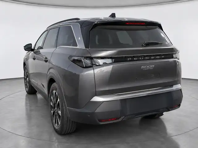 Peugeot 5008 view 2